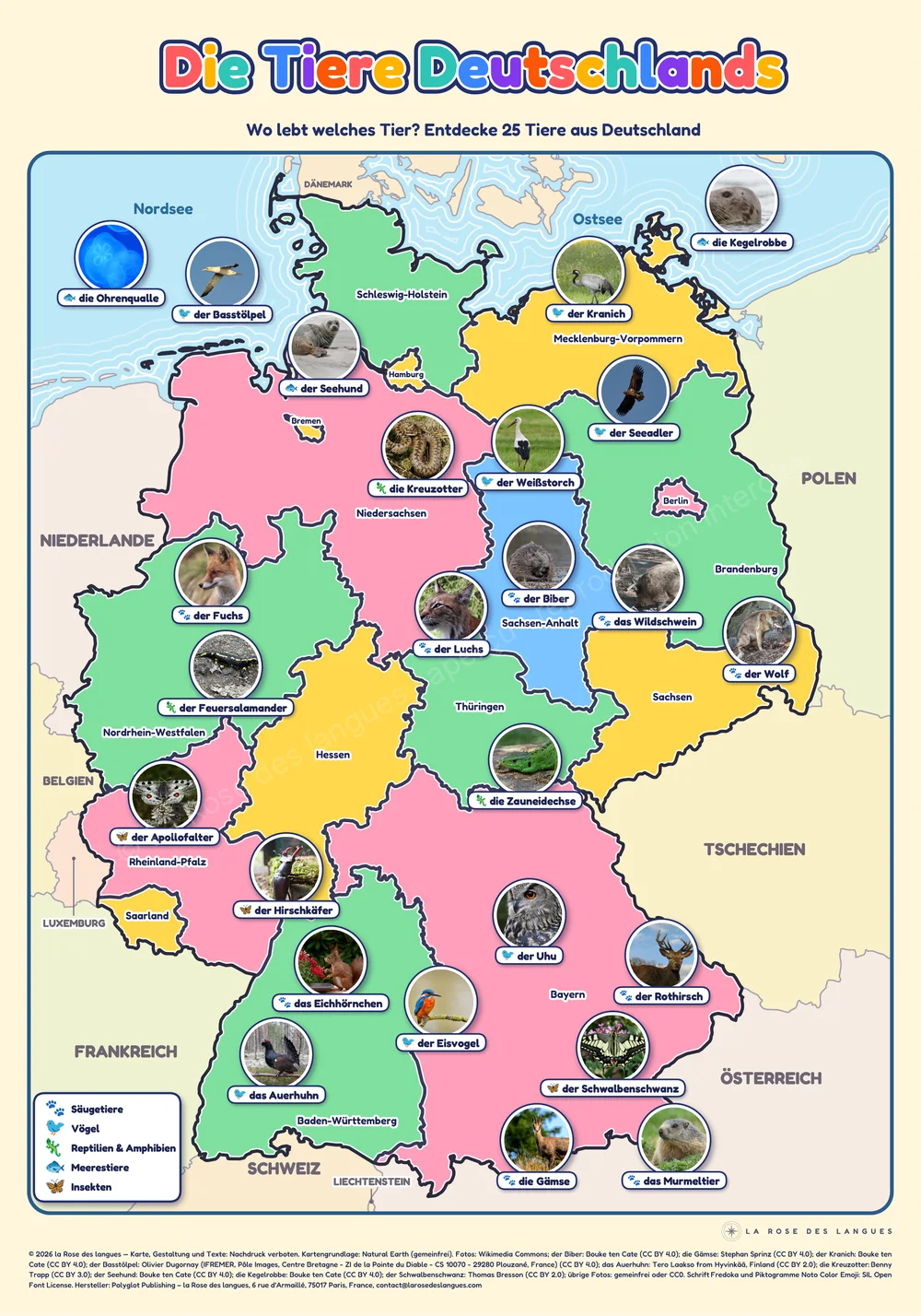 L’Allemagne — Les animaux, pour les enfants — carte murale