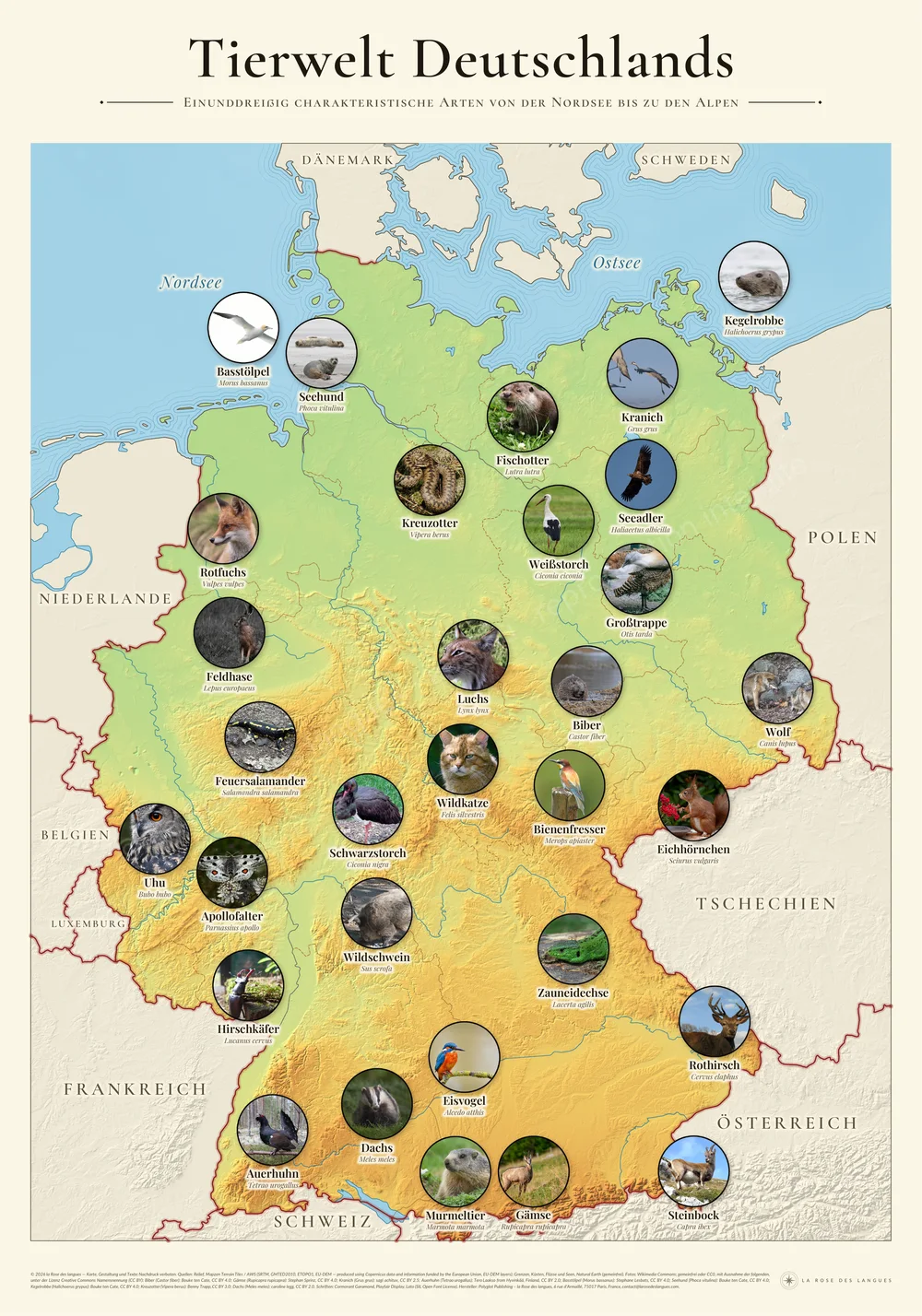 L’Allemagne — La faune — carte murale