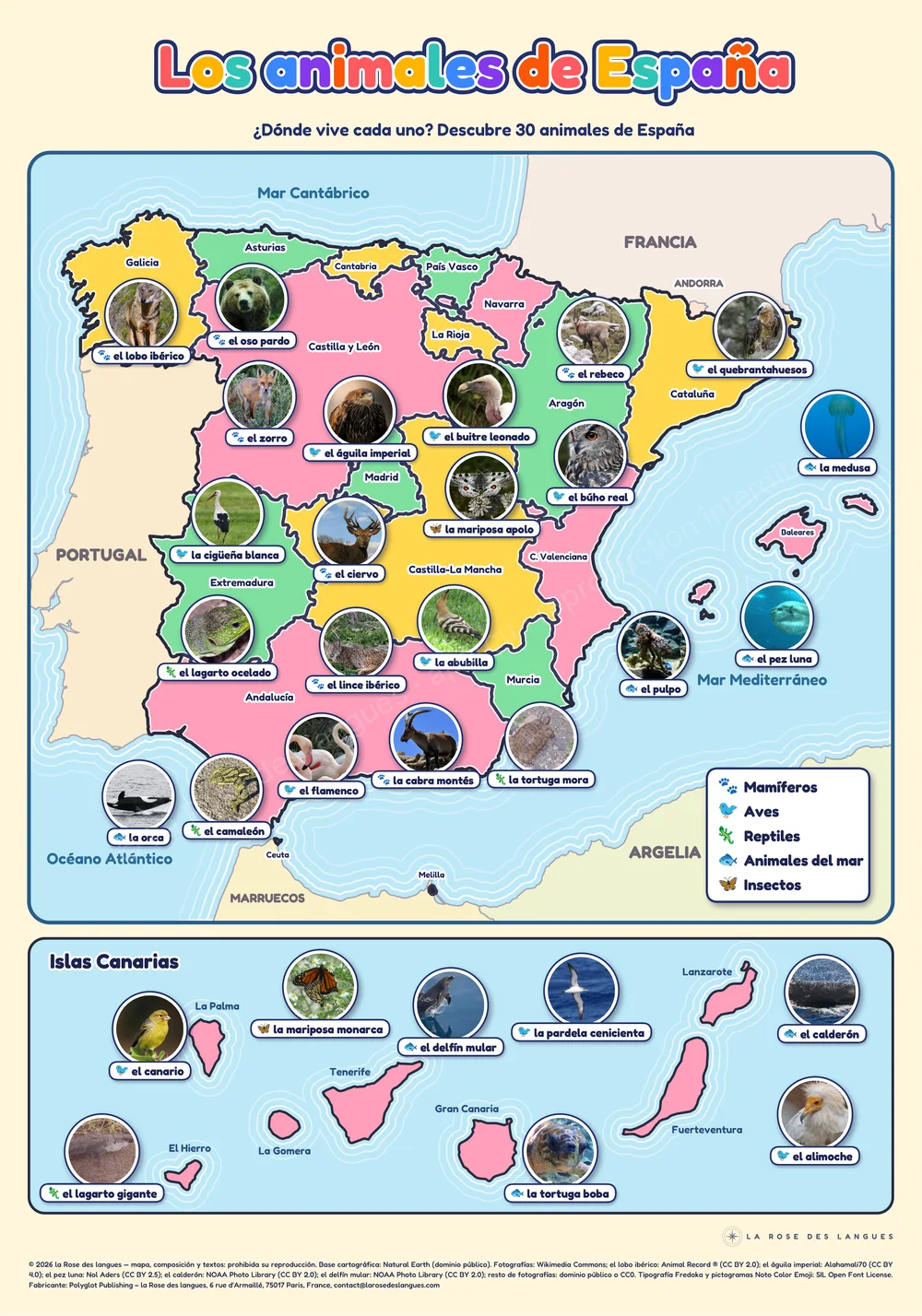 L’Espagne — Les animaux, pour les enfants — carte murale