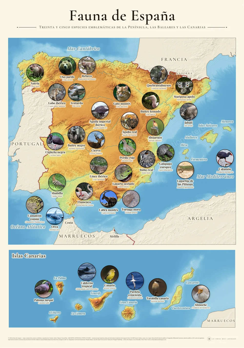 L’Espagne — La faune — carte murale