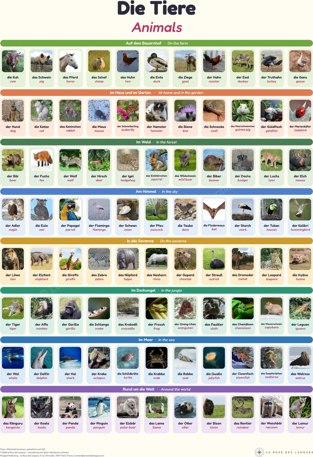 Das Bildwörterbuch der Tiere — Echte Tierfotos — Wandkarte in zwei Sprachen