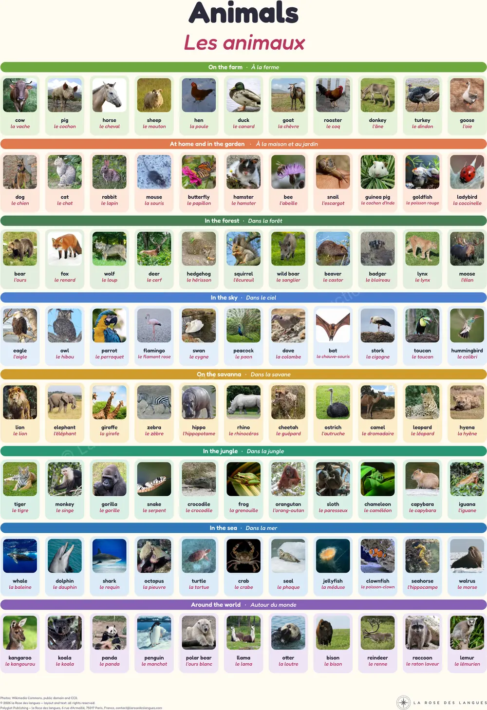 The Animal Picture Dictionary — Real animal photographs — wall map in two languages