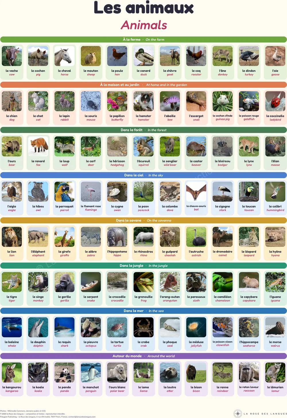 L’imagier des animaux — Vraies photos d’animaux — carte murale en deux langues