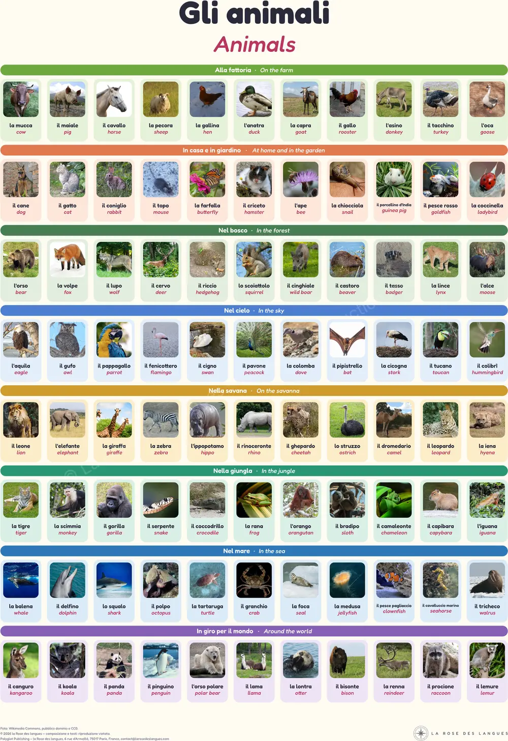 Il dizionario illustrato degli animali — Vere foto di animali — carta murale in due lingue